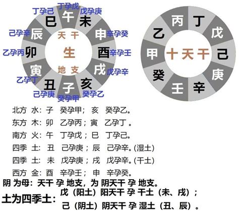 庚五行|十二地支藏干 十二地支五行属性对照表